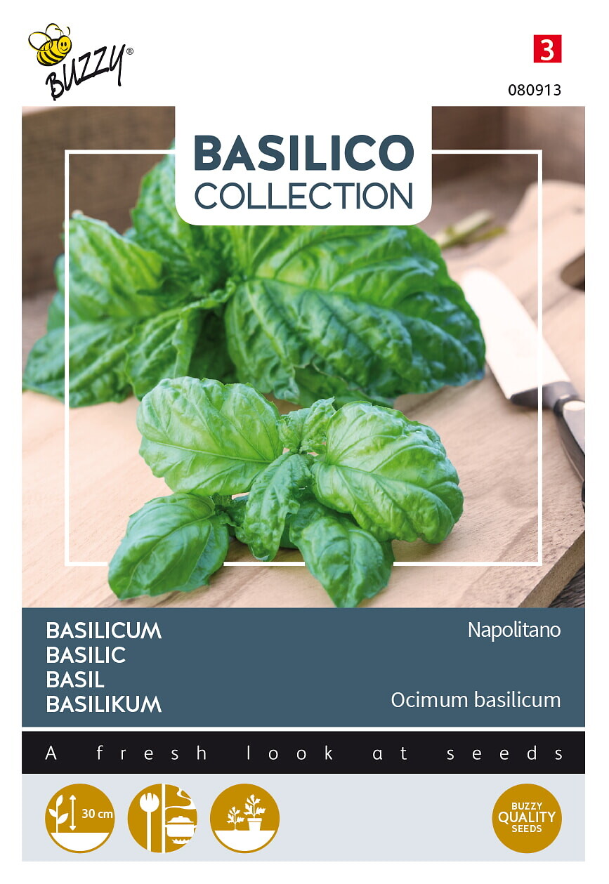 Basilika 'Napolitano'