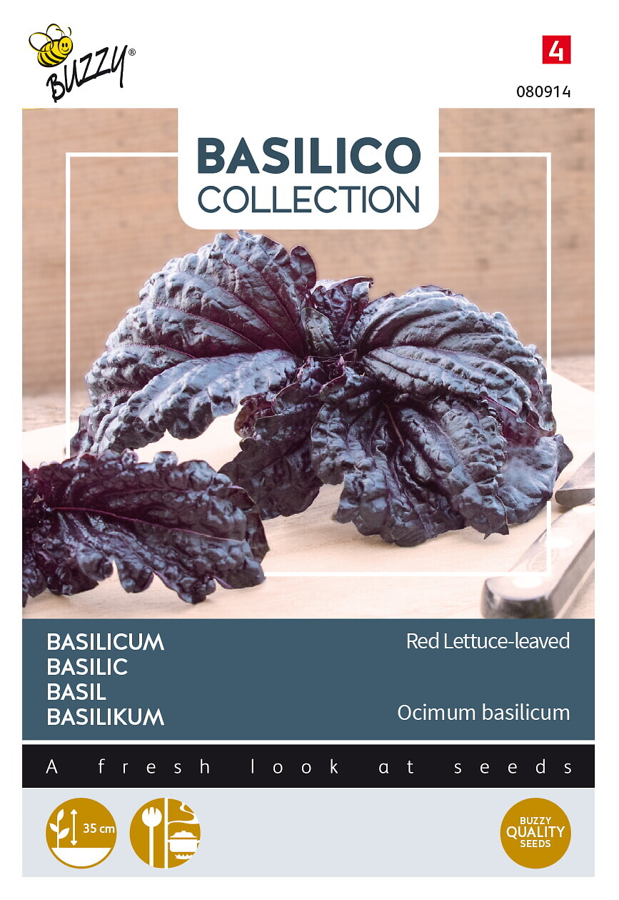Basilika 'Red Lizzy'