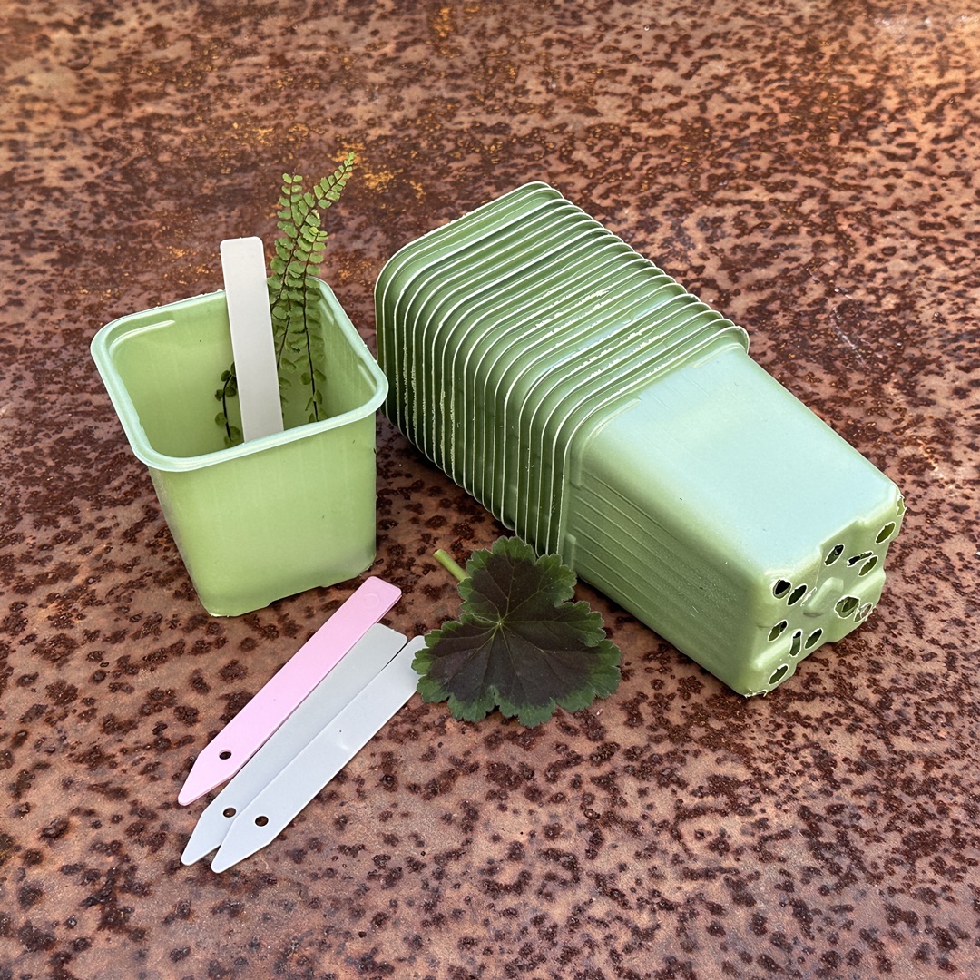 Kruka Grön 8 x 8 cm 20 st/förpackning