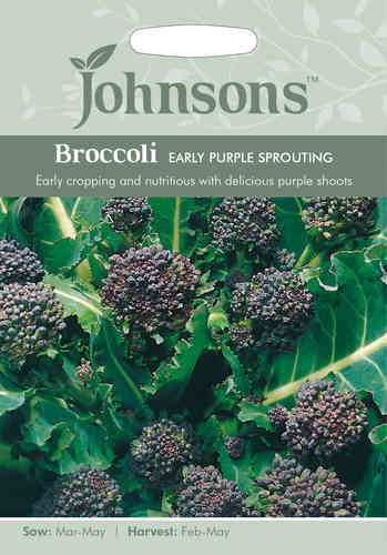 Broccoli 'Early Purple Sprouting'