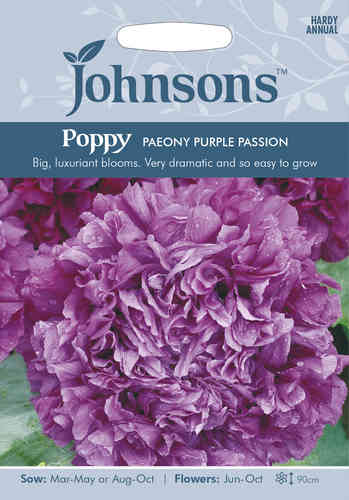 Oopiumunikko 'Paeony Purple Passion'