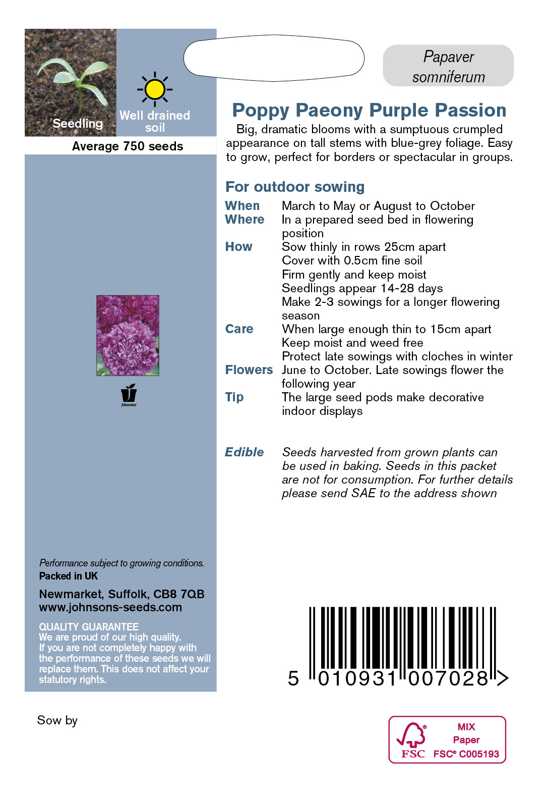Pionvallmo 'Paeony Purple Passion'