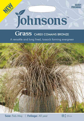 Kuparisara 'Comans Bronze'