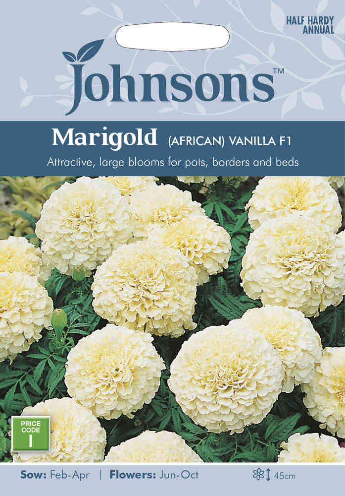 Stor Tagetes 'Vanilla' F1
