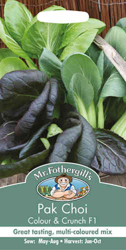 Pak choi 'Colour & Crunch' F1