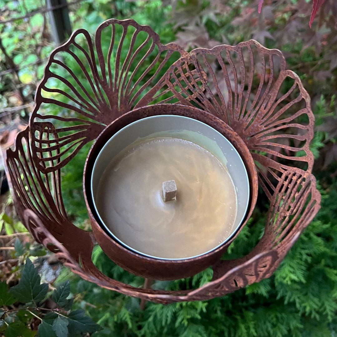 Ulkotuli Ginkgo