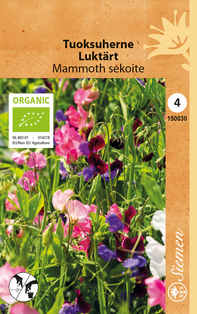 EKO luktärt Mammoth mix 