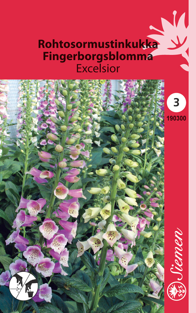 Fingerborgsblomma Excelsior mix