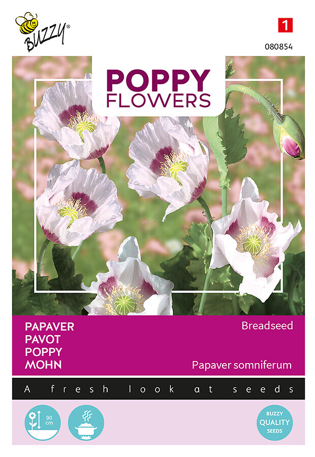 Buzzy® Poppy Flowers opievallmo Breadseed