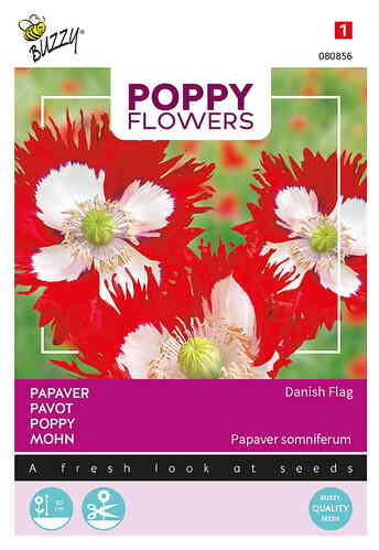 Poppy Flowers Oopiumiunikko 'Danish Flag'