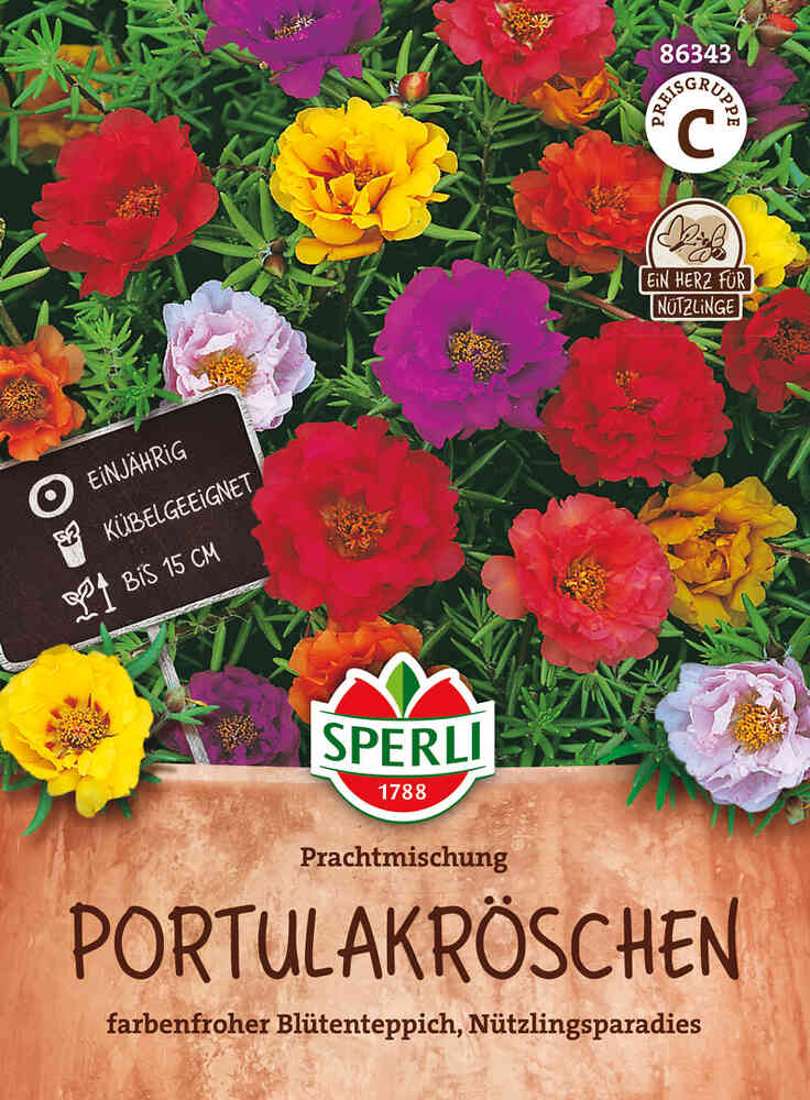 Praktportlak
