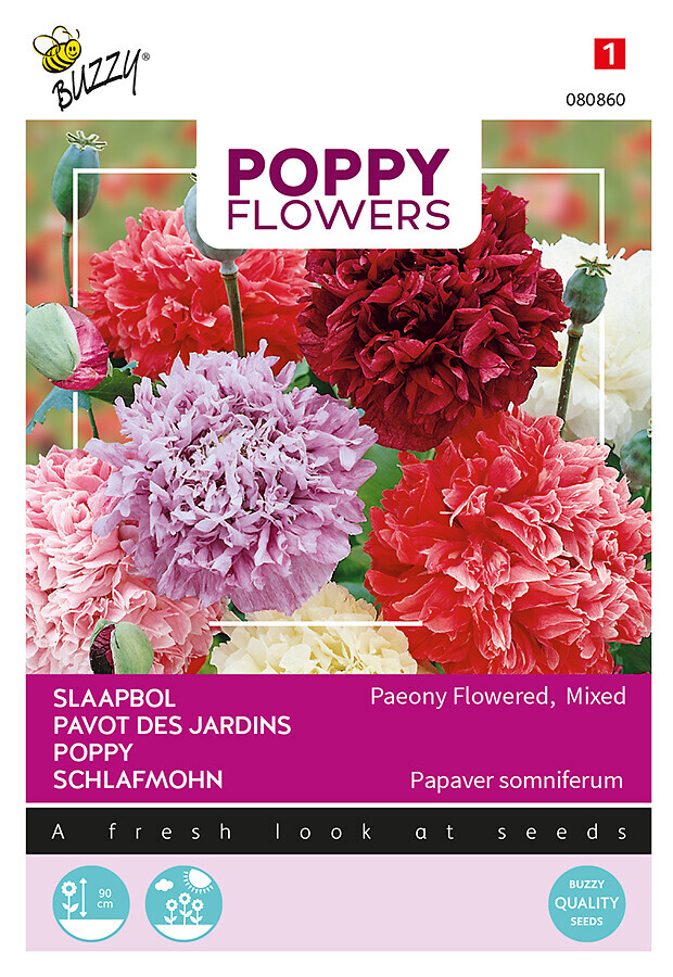 Buzzy® Poppy Flowers pionvallmo blandning
