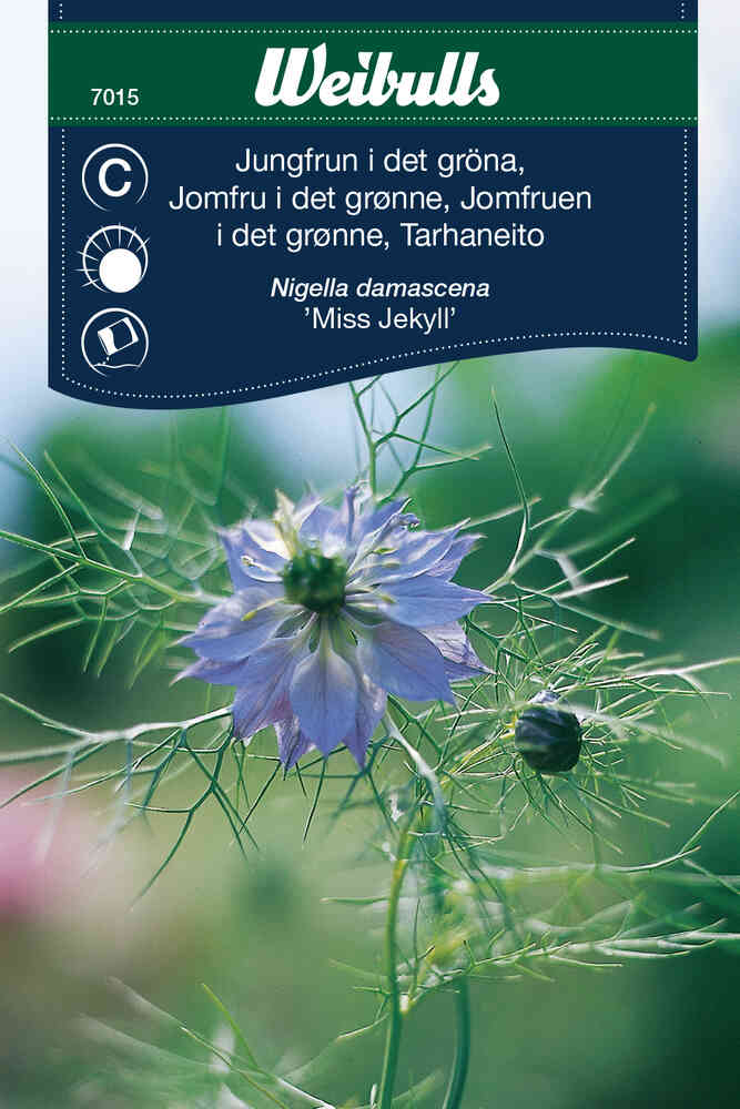 Jungfrun i det gröna Miss Jekyll