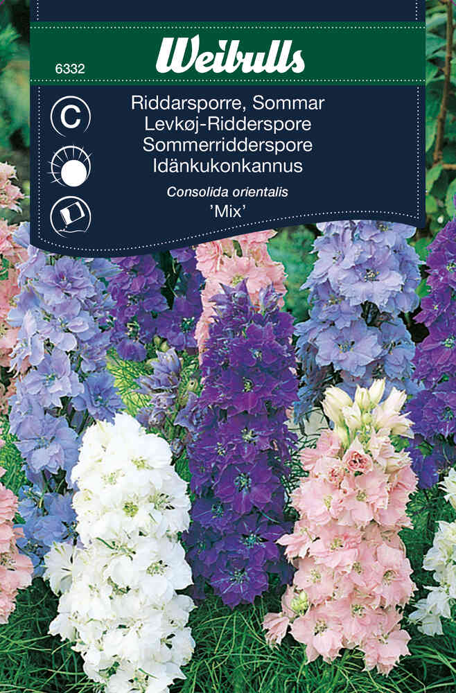 Praktriddarsporre Mix