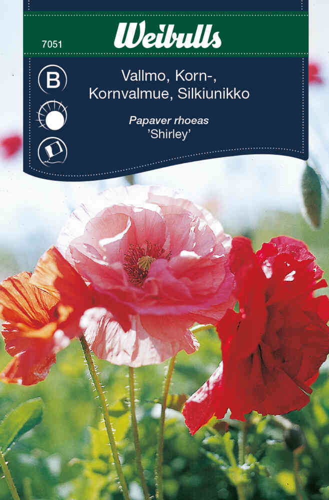 Kornvallmo 'Shirley'