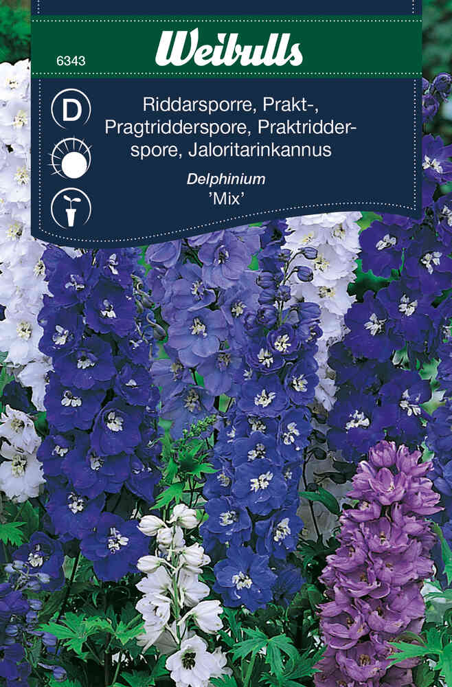 Sommarriddarsporre Mix