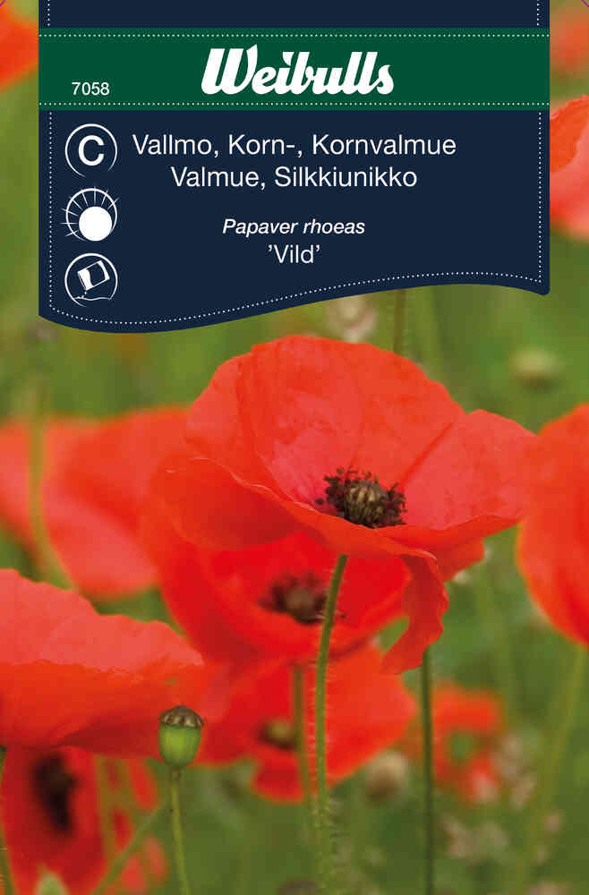 Kornvallmo 'Vild'