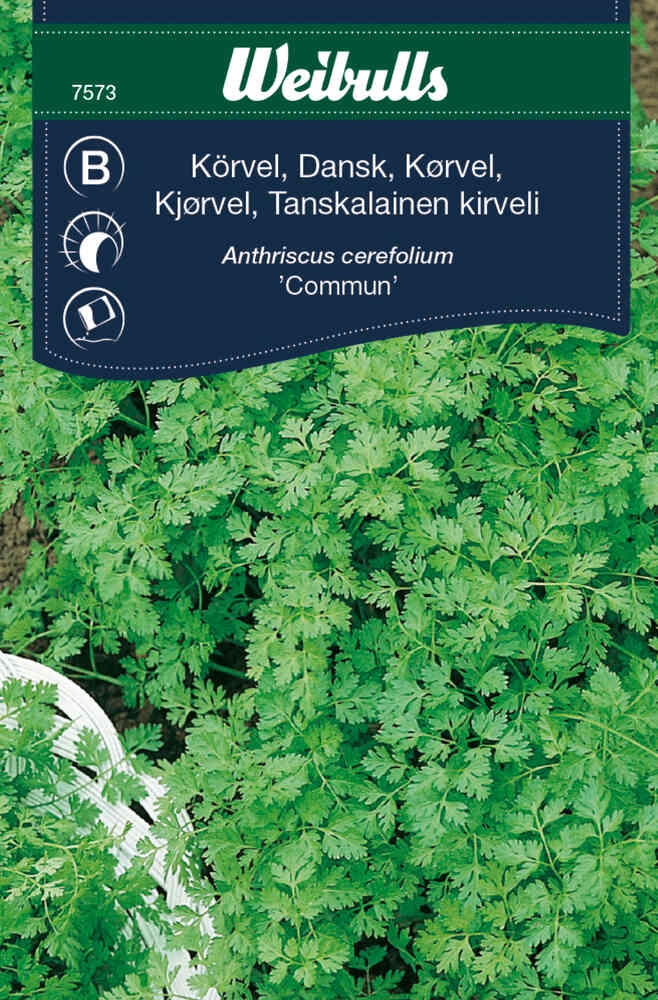 Dansk körvel 'Commun'