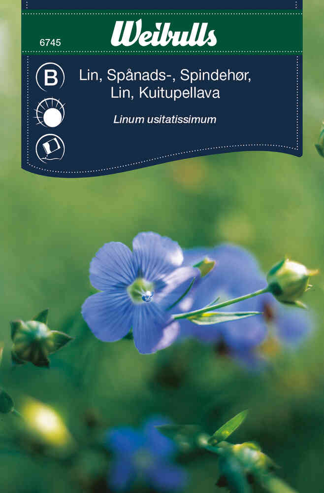 Spånadslin