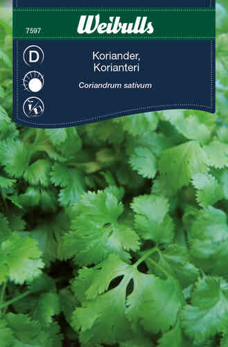 Koriander 