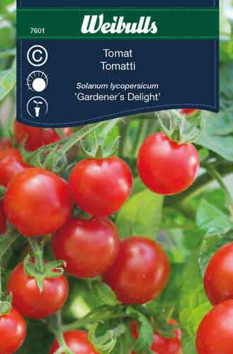 Kirsikkatomaatti 'Gardener´s Delight'