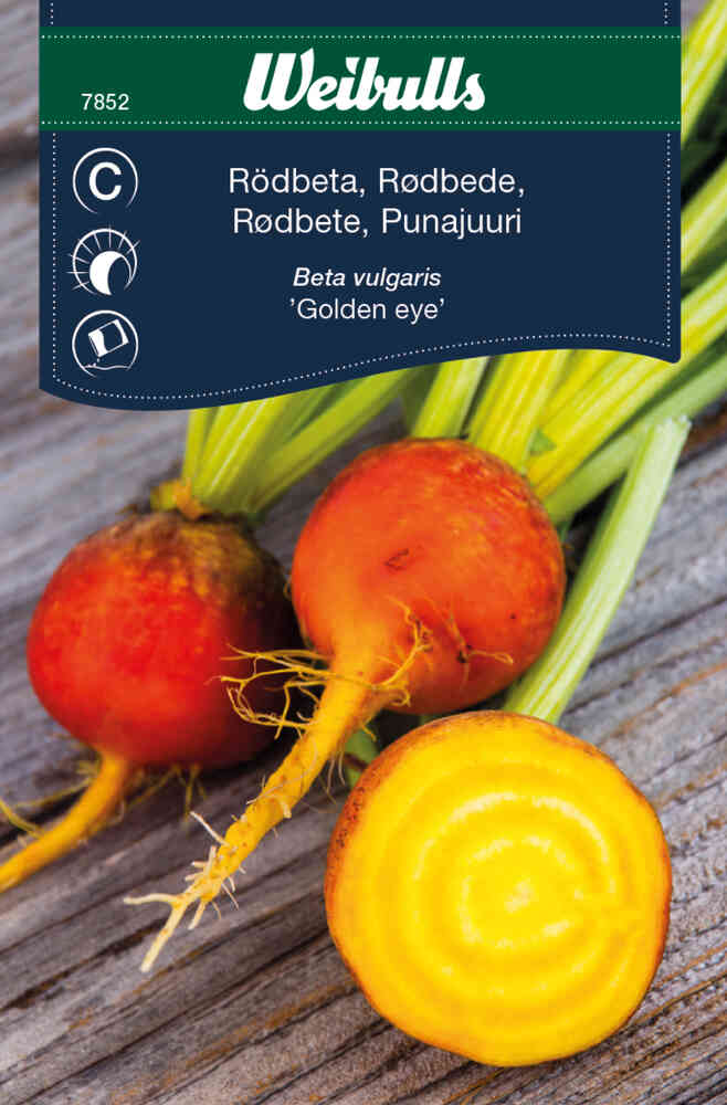 Gulbeta 'Golden Eye'