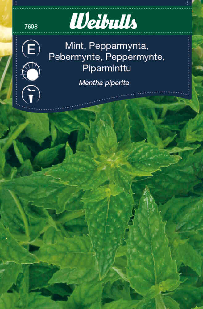 Piparminttu