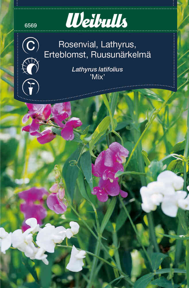 Rosenvial Mix