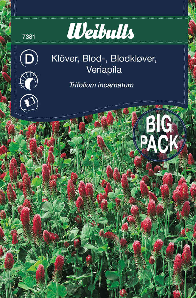 Blodklöver Big Pack