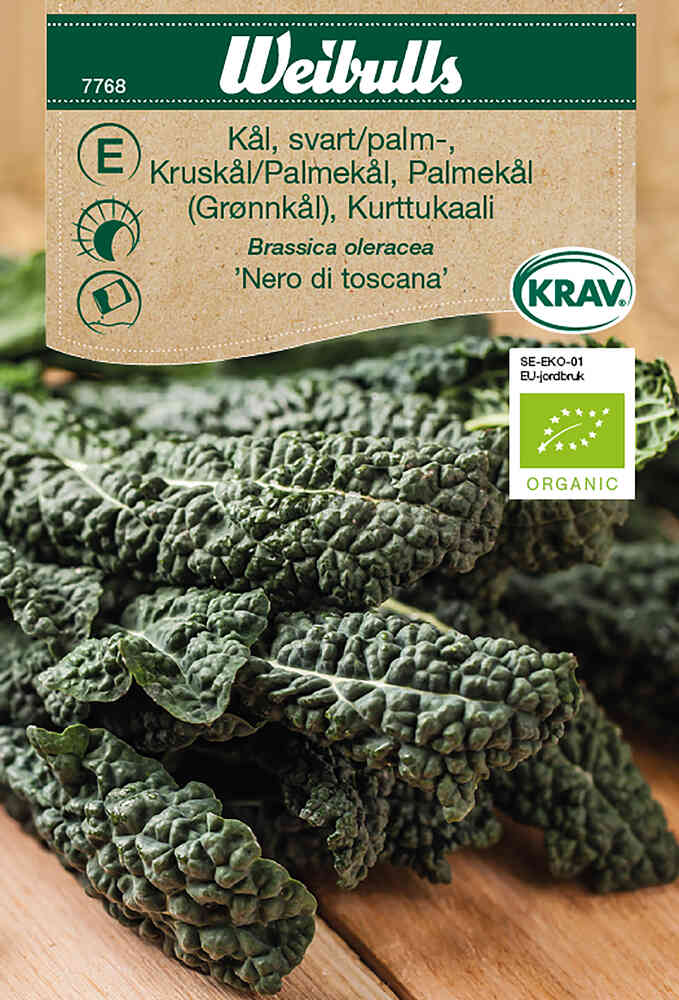 EKO Palmkål 'Nero di Toscana'