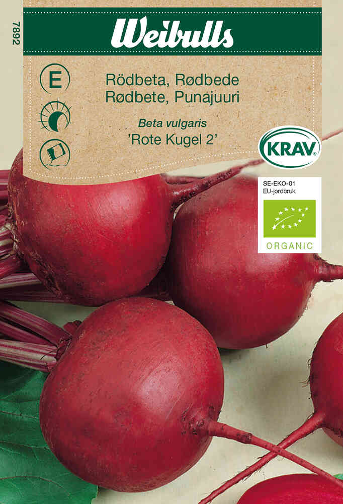 EKO Rödbeta 'Rote Kugel 2'