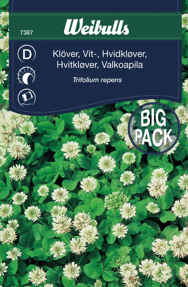 Vitklöver Big Pack