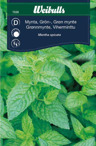 Grönmynta
