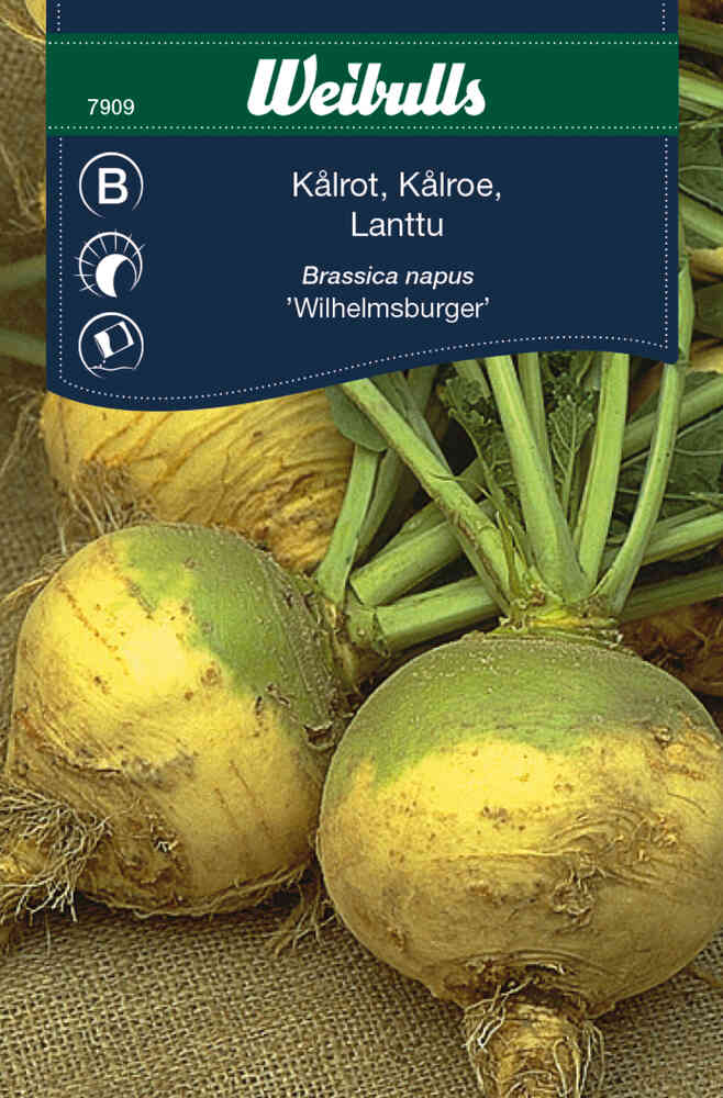 Kålrot 'Wilhelmsburger'