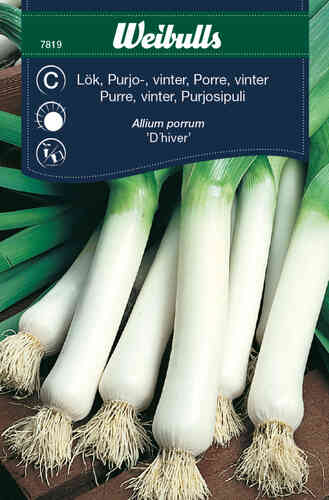 Purjosipuli 'D'Hiver'