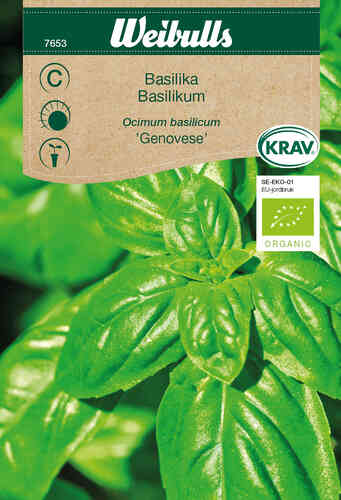 EKO Basilika 'Genovese' 