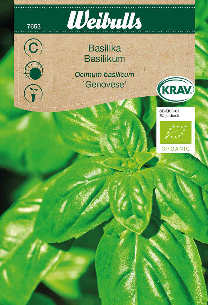 EKO Basilika 'Genovese'