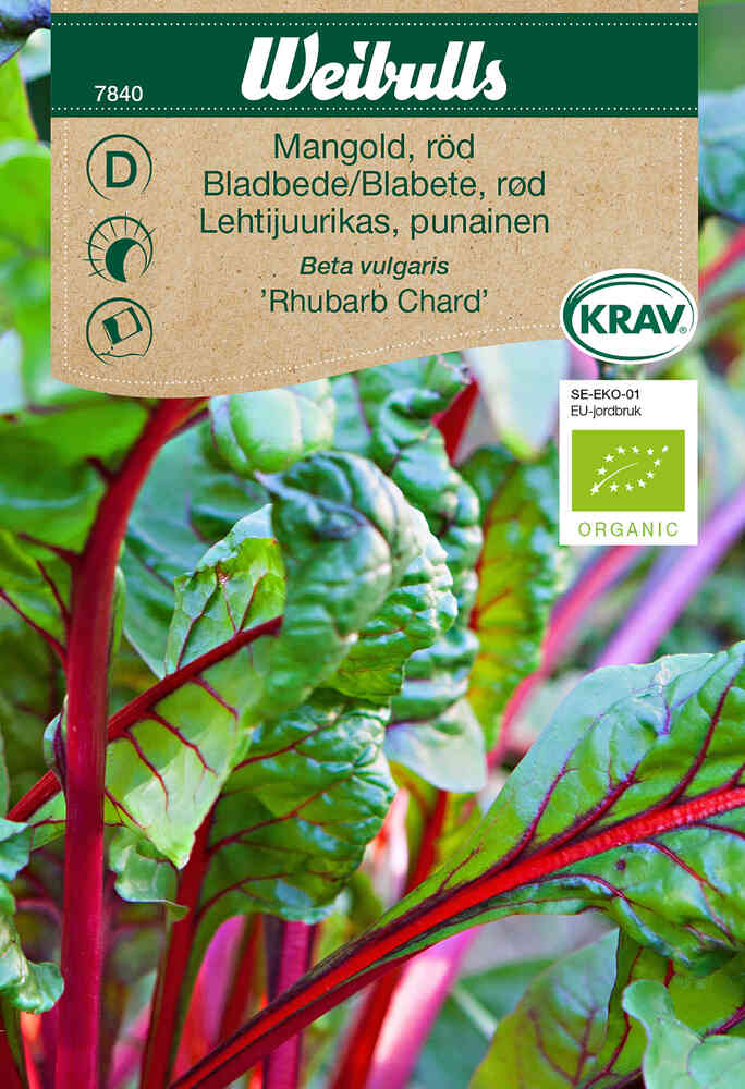 EKO Mangold 'Rhubarb Chard'