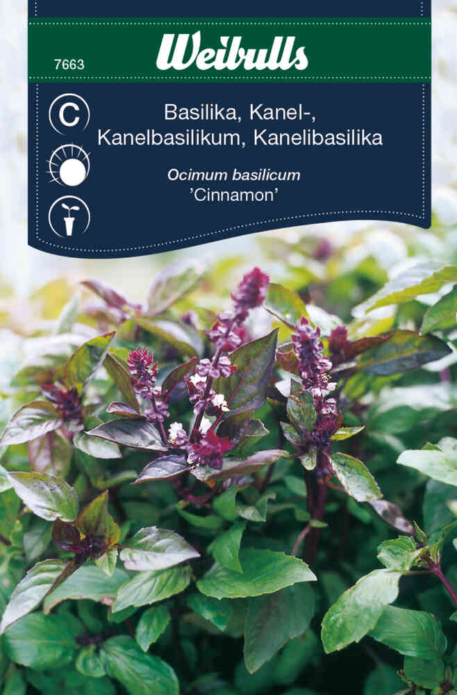 Kanelbasilika 'Cinnamon'