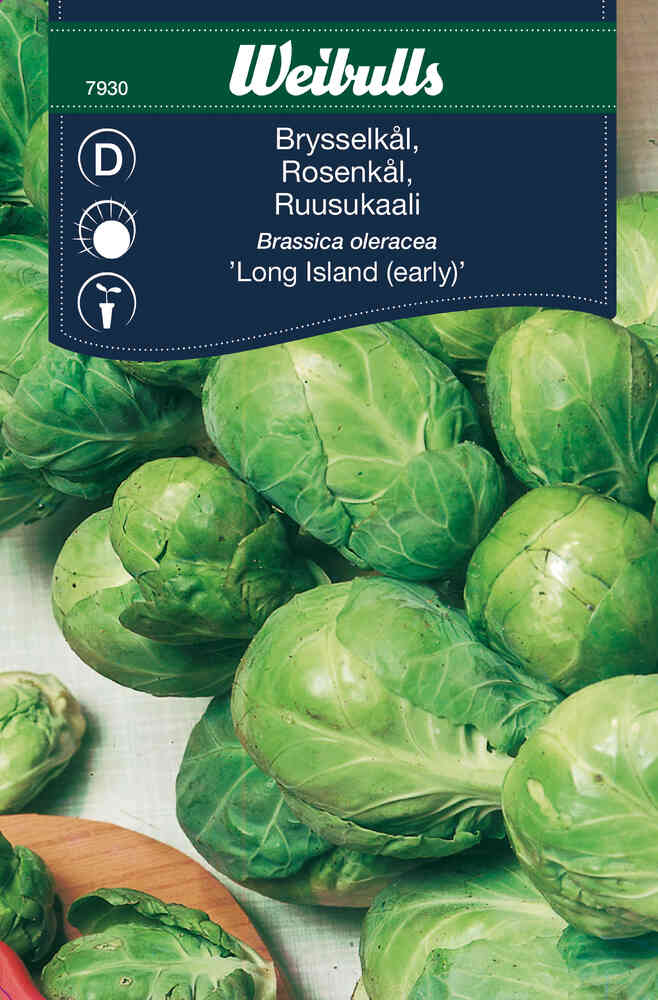 Brysselkål 'Long Island'