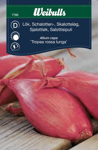 Schalottenlök 'Red Long of Tropea' 
