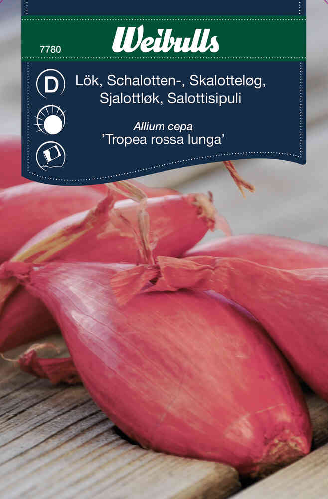 Schalottenlök 'Red Long of Tropea'