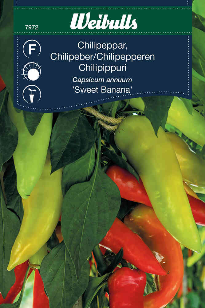 Chilipeppar 'Sweet Banana'