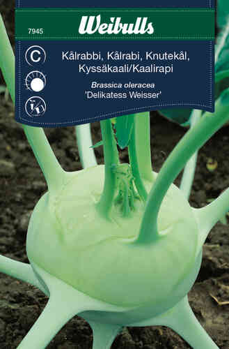  Kålrabbi  'Delikatess Witte' 