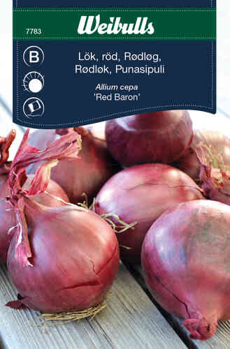 Punasipuli 'Red Baron'