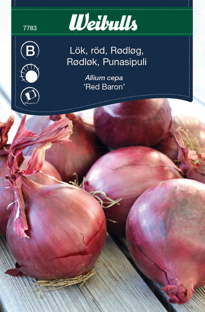 Röd lök 'Red Baron'