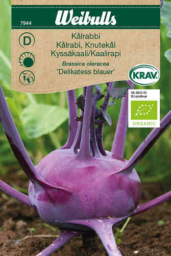 LUOMU Kyssäkaali 'Delikatess blauer'