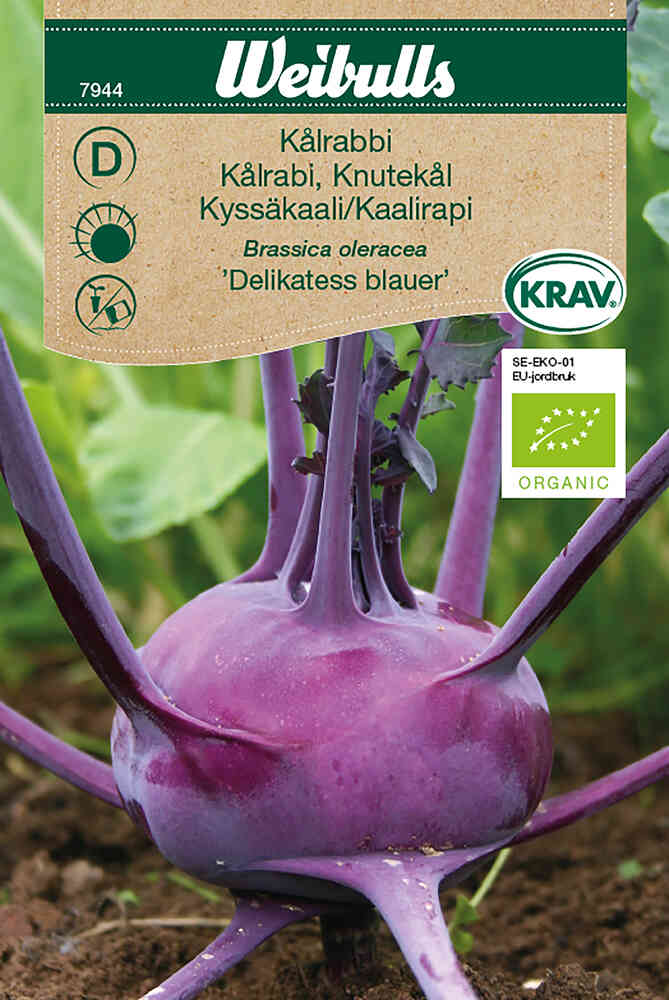 EKO Kålrabbi 'Delikatess blauer'