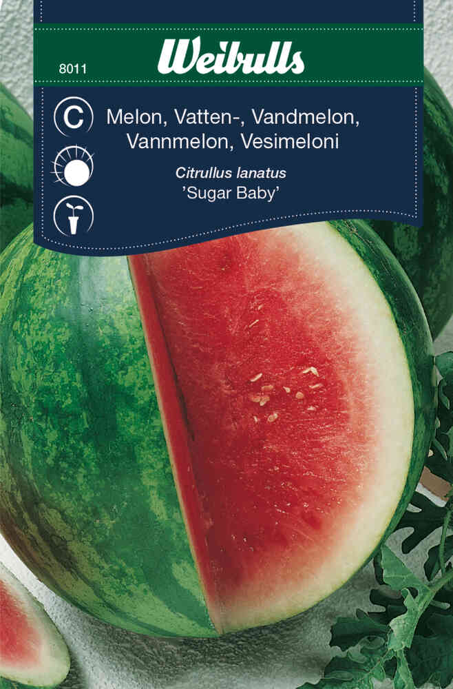 Vattenmelon 'Sugar Baby'