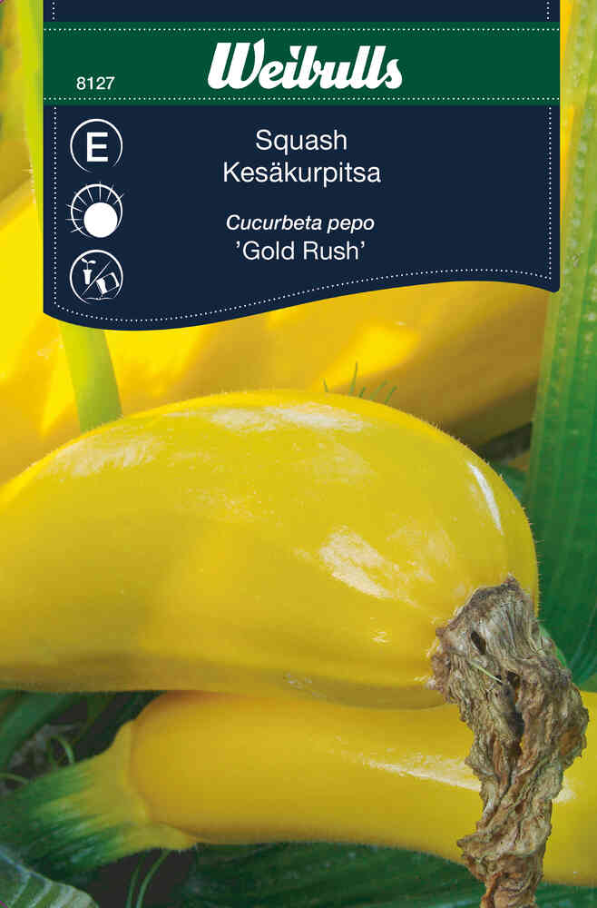 Squash 'Gold Rush'